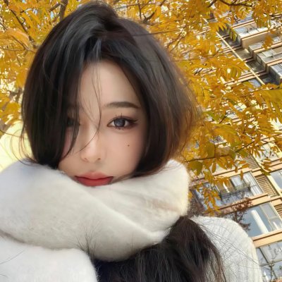 纽约小匪战黑帮